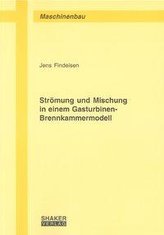 Strömung und Mischung in einem Gasturbinen-Brennkammermodell