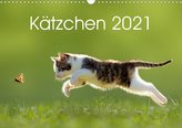 Kätzchen 2021 (Wandkalender 2021 DIN A3 quer)