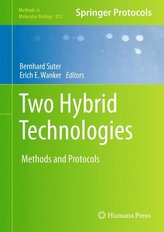 Two Hybrid Technologies