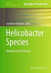 Helicobacter Species