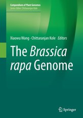 The Brassica rapa Genome
