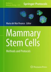 Mammary Stem Cells