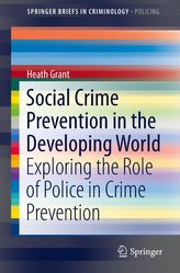 Social Crime Prevention in the Developing World