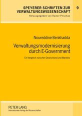 Verwaltungsmodernisierung durch E-Government