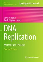 DNA Replication