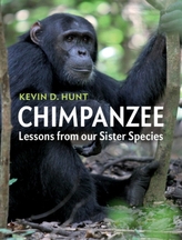  Chimpanzee