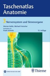 Nervensystem und Sinnesorgane