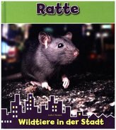 Ratte