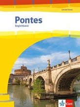 Pontes Gesamtband. Begleitbuch Grammatik und Vokabular 1. - 3. Lernjahr bzw. 1. - 4. Lernjahr