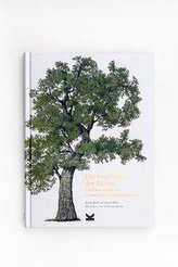 Die Geschichte der Bäume