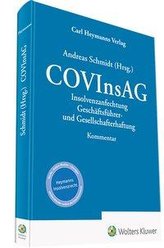 COVInsAG - Kommentar