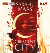 Crescent City - Teil 1: Wenn das Dunkel erwacht