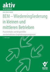 BEM - Wiedereingliederung in kleinen und mittleren Betrieben