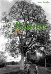 BÄUME - Räume - Träume