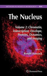 The Nucleus 2