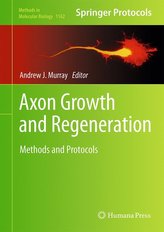 Axon Growth and Regeneration