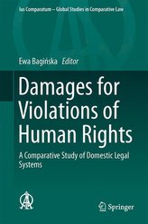 Damages for Violations of Human Rights
