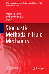 Stochastic Methods in Fluids Mechanics