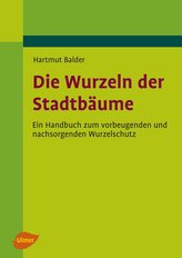 Die Wurzeln der Stadtbäume