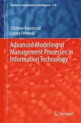 Advanced Modeling of Management Processes in Information Technology