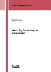 Visual Big Data Lifecycle Management