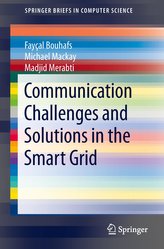 Communication Challenges and Solutions in the Smart Grid