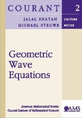  Geometric Wave Equations