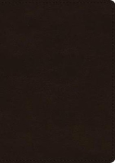  ESV Single Column Journaling Bible, Large Print