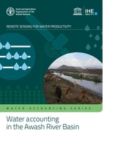  Water accounting in the Awash River Basin