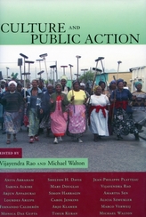  Culture and Public Action