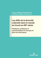  Les Defis de la Diversite Culturelle Dans Le Monde Du Travail Au Xxie Siecle