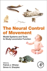 The Neural Control of Movement