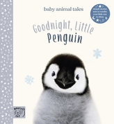  Goodnight, Little Penguin
