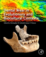  Dental Wear in Evolutionary and Biocultural Contexts