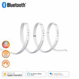 SMART+ Flex 3P Multicolour EU