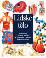 Lidské tělo