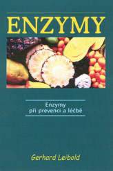 Enzymy při prevenci a léčbě