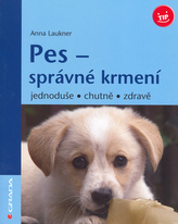 Pes - správné krmení