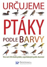 Určujeme ptáky podle barvy