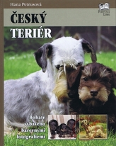 Český terier